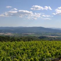 lacaccavella, blogtour, aifb, castellodifonterutoli, chianti, siena, cantinemazzei