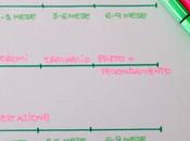 tempi della gravidanza