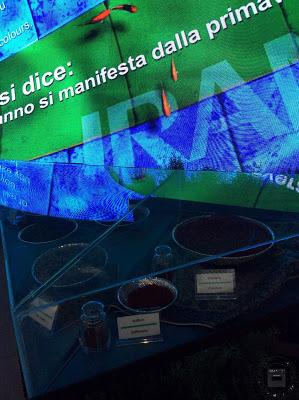 Visita all'Expo 2015 Primo giorno