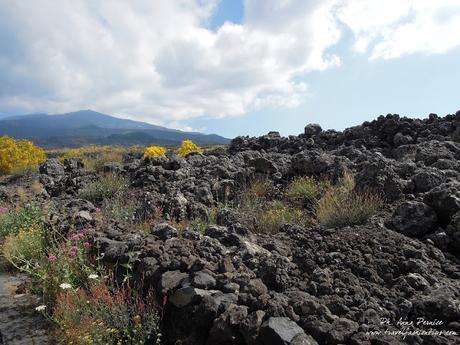 Viaggio in Sicilia: alla scoperta dell'Etna da Nicolosi