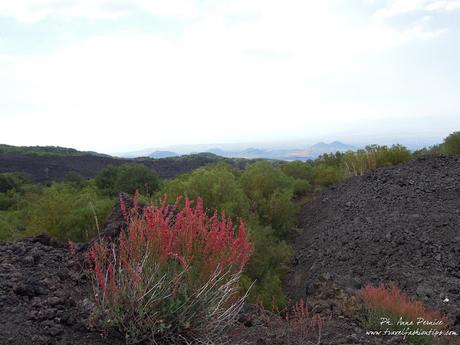 Viaggio in Sicilia: alla scoperta dell'Etna da Nicolosi