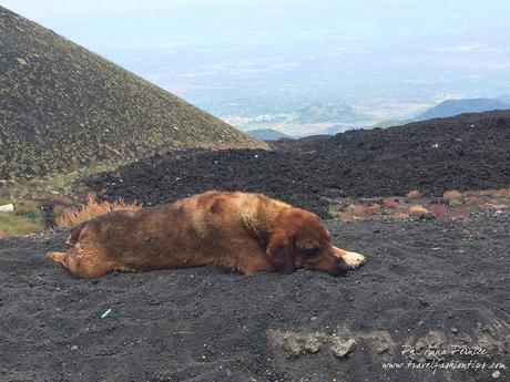 Viaggio in Sicilia: alla scoperta dell'Etna da Nicolosi