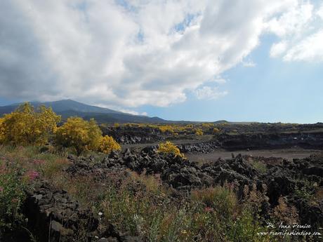 Viaggio in Sicilia: alla scoperta dell'Etna da Nicolosi