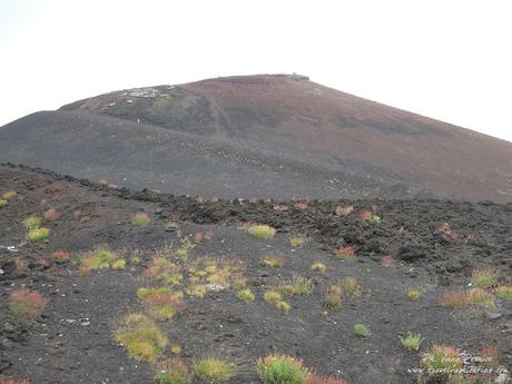 Viaggio in Sicilia: alla scoperta dell'Etna da Nicolosi