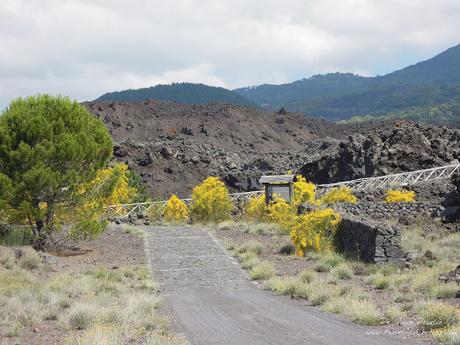 Viaggio in Sicilia: alla scoperta dell'Etna da Nicolosi