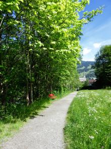 Natura in Tirolo: l’Austria che ammalia con semplicità e bellezza