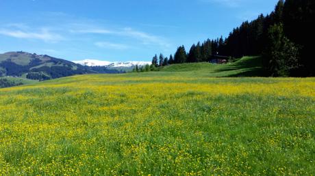 Natura in Tirolo: l’Austria che ammalia con semplicità e bellezza