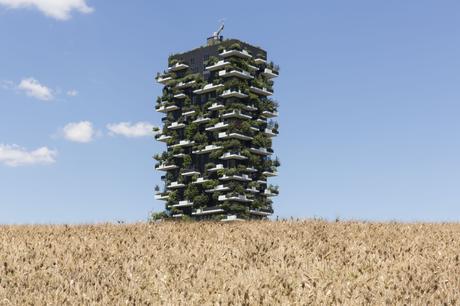 Wheatfield_gigante verde_detail