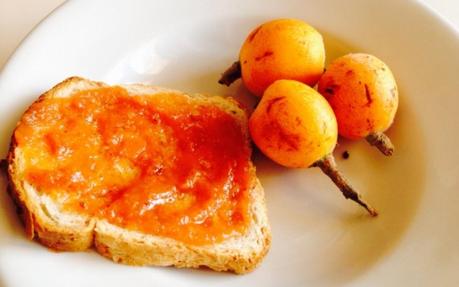 L’oroscopo di Dieta del Cilento