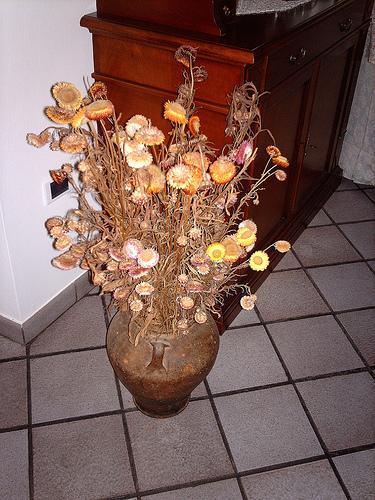 Da contenitori a vasi da fiori, l'evoluzione estetica della terracotta Da contenitori a vasi da fiori, l'evoluzione estetica della terracotta