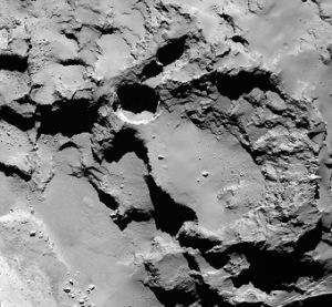 Microbi sulla Cometa 67P/Churyumov-Gerasimenko ?