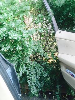 RIFLESSIONI - Dal disagio al dissidio per arrivare al disastro