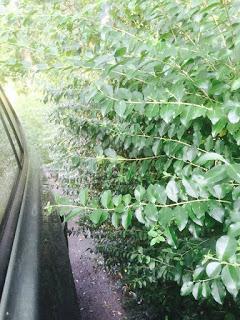 RIFLESSIONI - Dal disagio al dissidio per arrivare al disastro