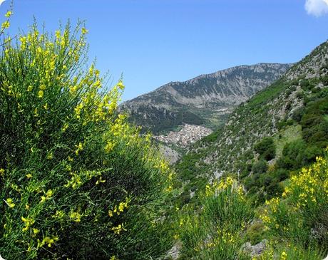 calabria-montagne