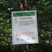 Uomini di ogni terra non dimenticano Marzabotto