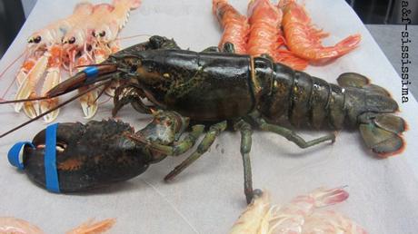 Corso di avviamento alla professione di cuoco - A tavola con lo Chef 8