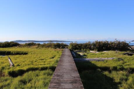 Orcas Island goes Dawson's Creek