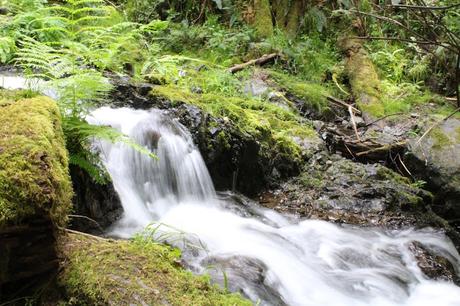 Orcas Island goes Dawson's Creek