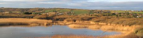 Marazion Marshes are wonderful for bird watching