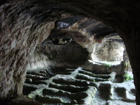 Vieste, degrado nella necropoli de La Salata tra rovi e scarichi di olio (altro che turismo....)