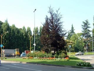 Fidenza comune sfiorito: un po' di archeologia verde Fidenza comune sfiorito: un po' di archeologia verde