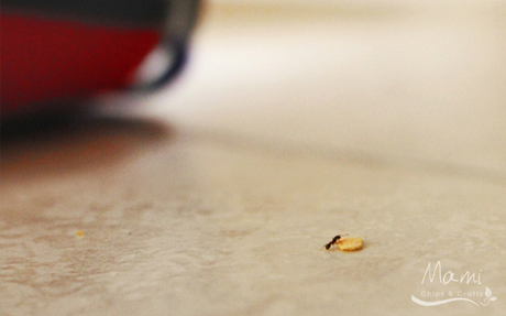 Fluffy - pulire non è mai stato così semplice!