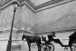 horse-carriage-406809_1280