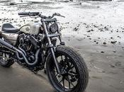 Harley 1200 "Rusty Slider" Rough Crafts