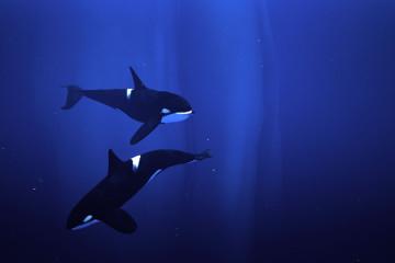 Pixel Ripped 1989 approda su Kickstarter