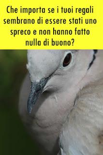 Solo quelli che accusano se stessi possono condannare. Parte 2.