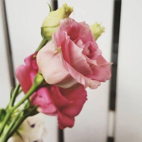 OOTD: shirt dress & gladiators