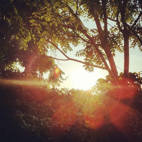 OOTD: shirt dress & gladiators