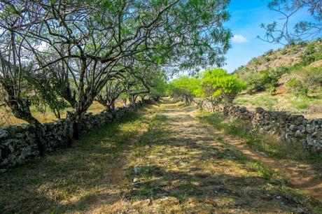 Barichara o Villa de Leyva? Appunti e Racconti di viaggio.