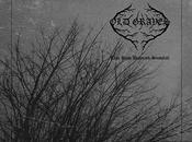 Graves This Ruin Beneath Snowfall