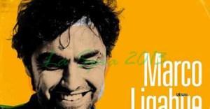 Marco-Ligabue-480x250