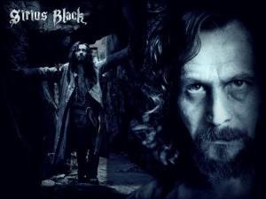 Padfoot-sirius-black-11982413-800-600