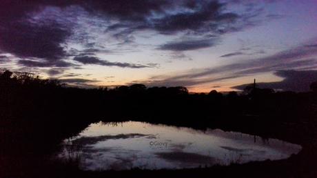 Viaggio in Inghilterra in Northumberland