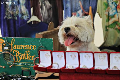 Il Celtival: l’Irlanda a Giavera del Montello.