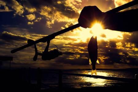 Votate questa foto, Votate Irene 