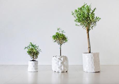 DESIGN: 'Growth', il vaso che cresce assieme alla pianta