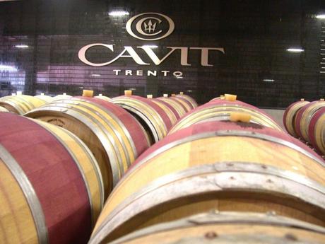 Maso-Romani-diventa-il-centro-di-riferimento-del-Marzemino_imagefullwide