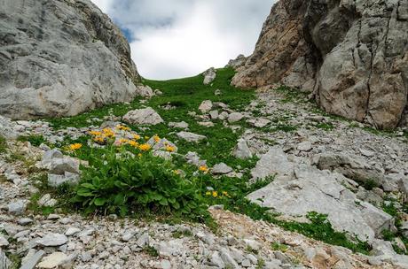 AVANZA ...... quando una montagna......