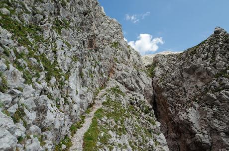 AVANZA ...... quando una montagna......