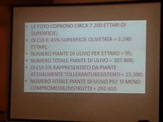 95% degli olivi compromessi o distrutti in 7.200 ettari: Osservazioni effettuate dagli agricoltori della Voce dell'olivo presentate nella Giornata di Studio dell'Università del Salento dal Presidente della Dop Terra d'Otranto Dott. Giovanni Melcarne