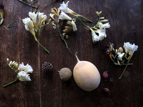 Blossom zine blog decorazione murale   (7)