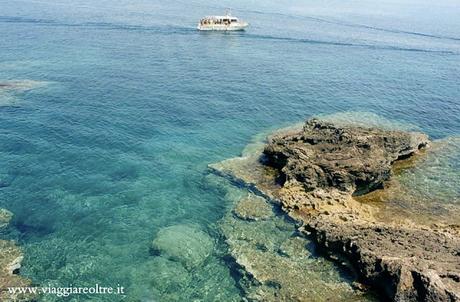 Lampedusa: un'indimenticabile esperienza di volontariato con le tartarughe #unviaggiovintage