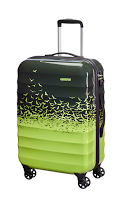 American Tourister: Per un' estate in musica!
