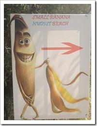 10 idee per il gelato non gelato alla banana