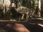 Oculus stipula partnership filmmaker