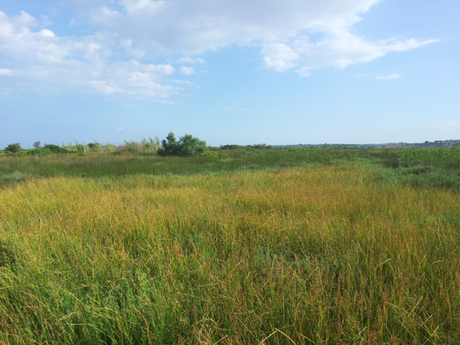 Riserva Naturale di Vendicari: rigenerarsi nella la natura della Sicilia